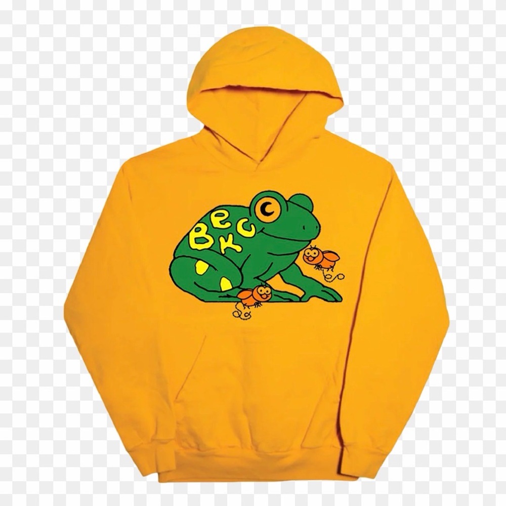 Beck tour hoodie, barely worn, size 2XL